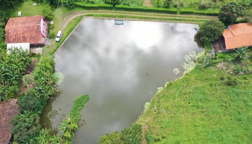 Solar dos Pássaros - Foto 2