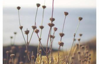 Casa Marlene - Foto 37