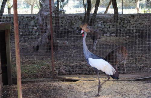 Agriturismo Tenuta Sant'Antonio - Foto 29