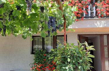 Apartment Vir with free private parking - Foto 17