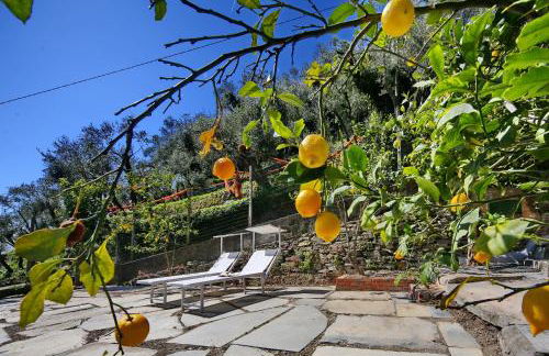 Ardesia apartment - Foto 21