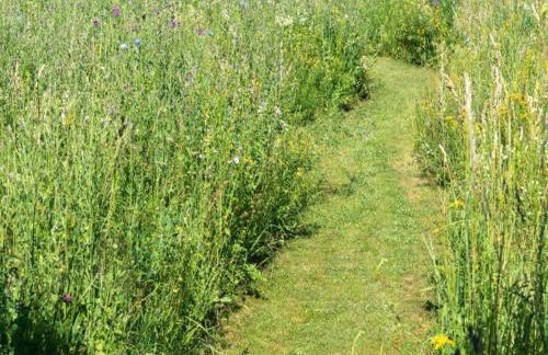 Ferienhaus in Tannesberg for 4 Personen - Foto 53