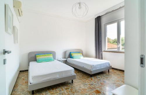 Helianthus - Photo 33