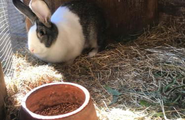 Casa do Volfrâmio - Foto 30