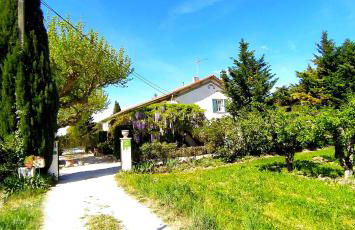 Mas de St-Andiol - Foto 6