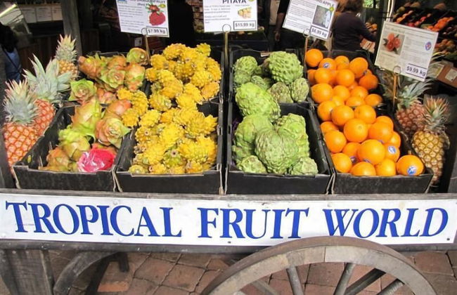 Fig Tree Retro Studio - Foto 41