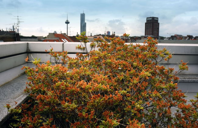 Domapartment Cologne City Altstadt - Foto 80