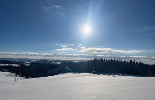 Große Ferienwohnung Hundertwasser am Dreisessel in Altreichenau - Foto 56