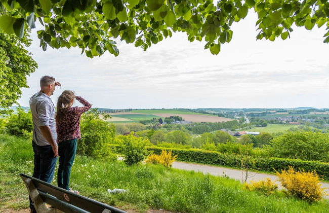 2 bedroom House in Gulpen with swimming pool and terrace - Photo 50