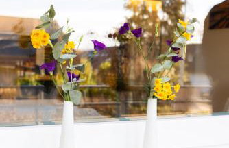 Höri-Nest Abendsonne-Appartement - Foto 21