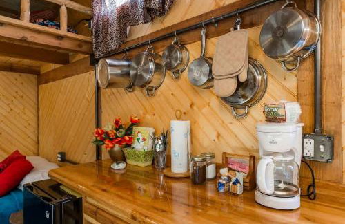 Hillbilly Chic Tiny House Near Nashville with WiFi, Kitchenette, Fire Pit & Trails - Foto 17