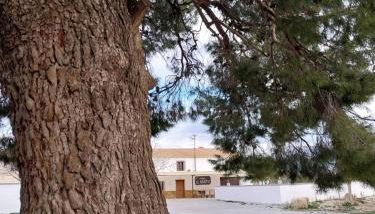 Cortijos Rurales Castril, El Casto - Foto 4