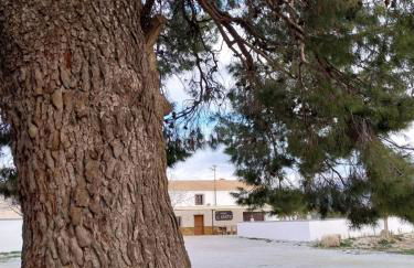 Cortijos Rurales Castril, El Casto - Foto 4