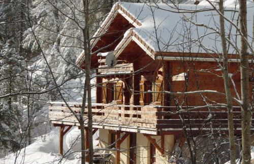 Appartement Col de la Faucille - Foto 1