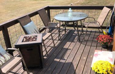 The Little Pine - Foto 17