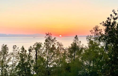 pines & sea - Foto 26