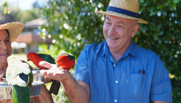 Lamington National Park, O’Reilly’s Rainforest und Canungra Valley Vineyard – Tagestour - Foto 4