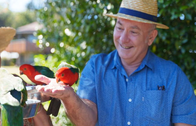 Lamington National Park, O’Reilly’s Rainforest und Canungra Valley Vineyard – Tagestour - Foto 4