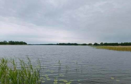 Domek Pszczelarza - Foto 10