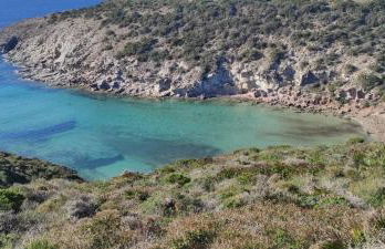 La casa del Paguro Bernardo - Foto 26