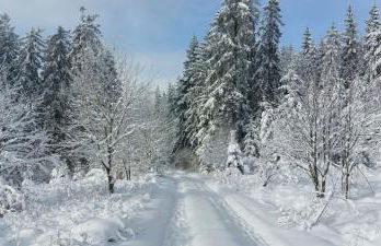 Fennies Hütte - Foto 61