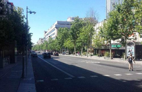 Apt. La Milla de Oro – Barrio Salamanca. Temporal - Foto 24