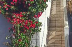 Villa La Musica - Foto 7