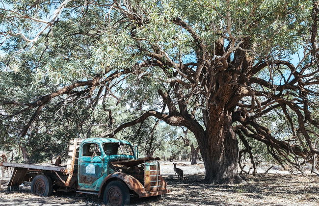 Warrawong on the Darling - Foto 23