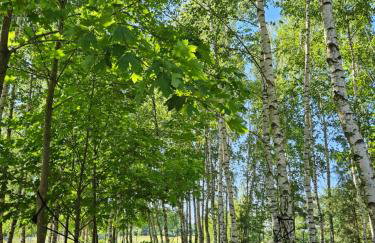Przystanek Mazury.Makosieje - Foto 65