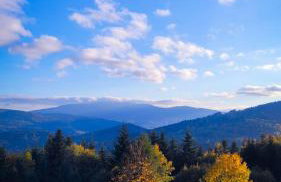 Domki na polanie - Foto 12