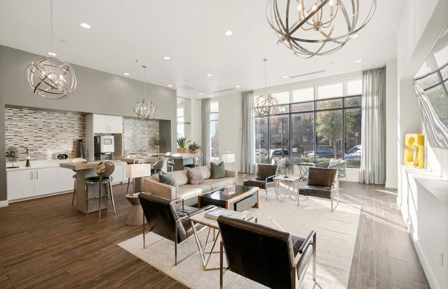 Arlington Inspired 2BD 2BA Deluxe Apartment - Foto 18