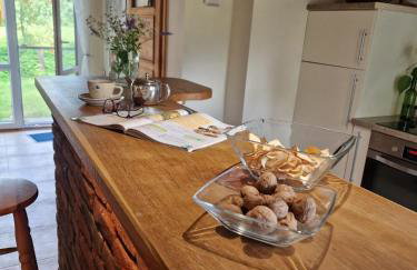 Bieszczadzki Kąt - Foto 1