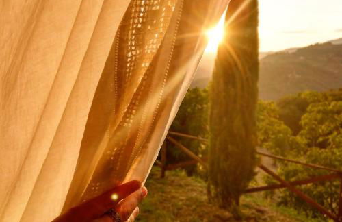 Agriturismo La Fontaccia - Foto 16