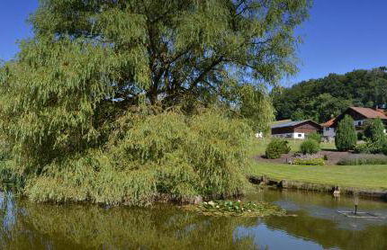 Gästehaus Wildgehege - Foto 22