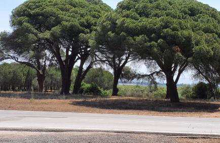 Villa Dunes 350m from the sandy beach - Foto 47