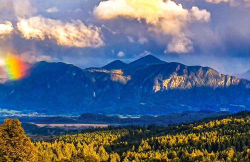 Hörnlestubn - Foto 48