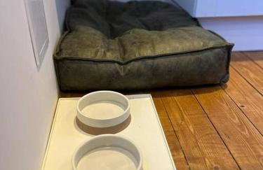 The Old Deanston Workers Cottage - Foto 41