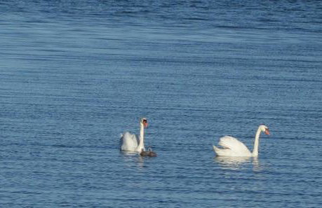 Ferienhaus Elida - Foto 22