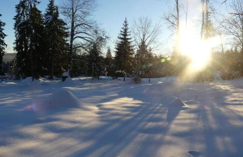 Studio avec belle vue proche du lac Genin Echallon - Photo 13