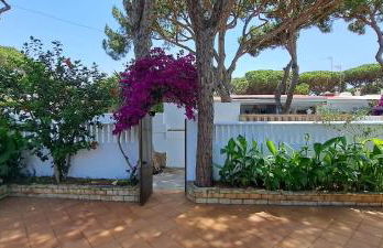 Doña Violeta - La Barrosa - Foto 6