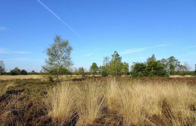 Spacious Holiday Home in Eersel With Open Fire - Foto 36