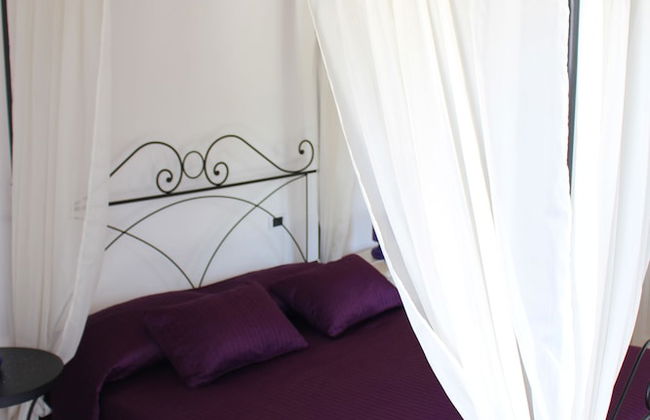 Villa Belvedere degli Ulivi - Photo 8