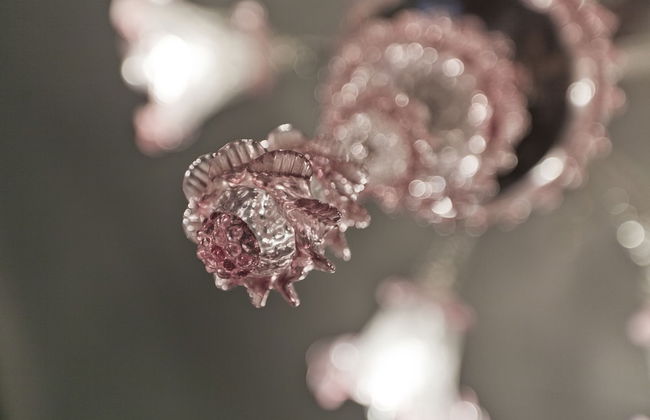 Palazzo Cendon - Le Mansarde - Foto 13