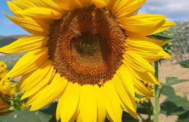 L'Isola Che Non C'era - Foto 8