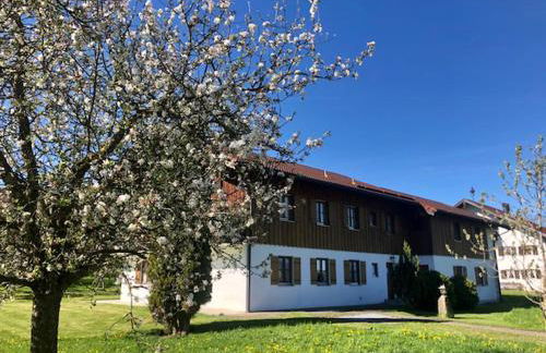 Mayerbauer - Photo 11