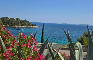 Les Iles d' Or Appartement - Foto 37