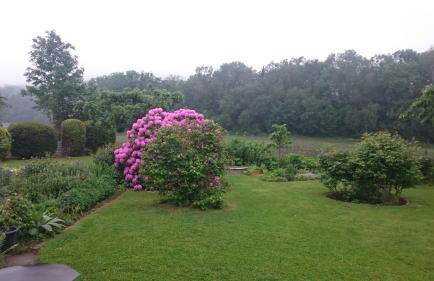 Ferienhaus am Ith - Foto 37