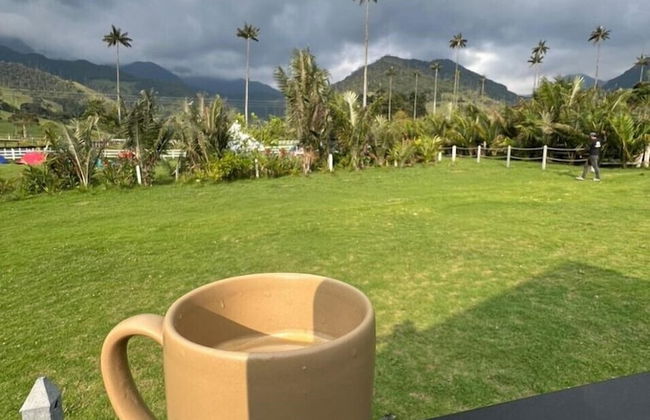 Bosques de Cocora Donde Juan B - Photo 19