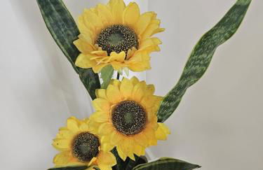 Sunflower Castle View in Óbidos - Foto 13