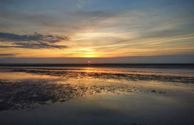 Sun, Mudflats and sea - Foto 24